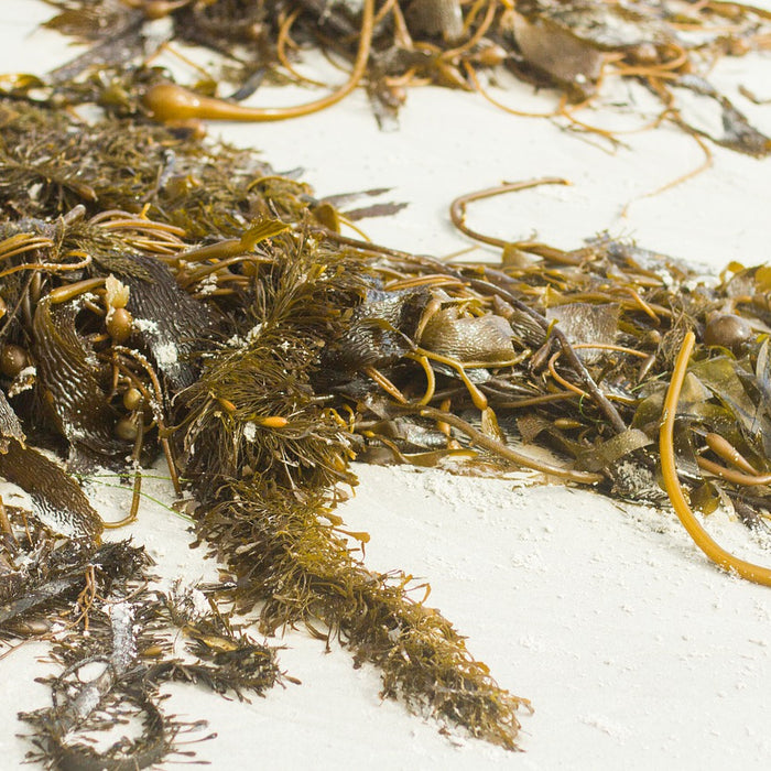 These Veggies Could Become the New Kale