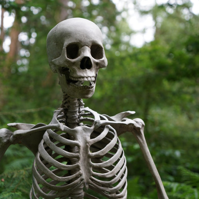 3 Unique Ways We Build Stronger Bones at our Clinic