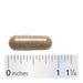 Nature's Way Aloe Vera - 100 Capsules - Health As It Ought to Be