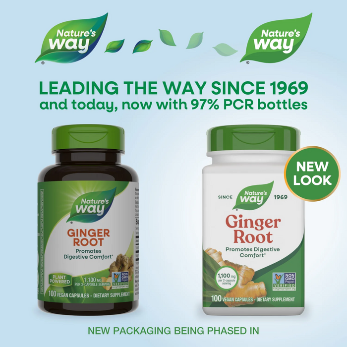 Nature's Way Ginger Root 1,100mg - 100 Capsules - Health As It Ought to Be