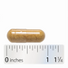 Nature's Way Ginger Root 1,100mg - 100 Capsules - Health As It Ought to Be