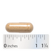 Nature's Way Astragalus 470 mg - 100 Capsules - Health As It Ought to Be