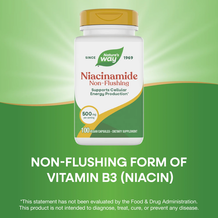 Nature's Way Niacinamide 500 mg - 100 Capsules