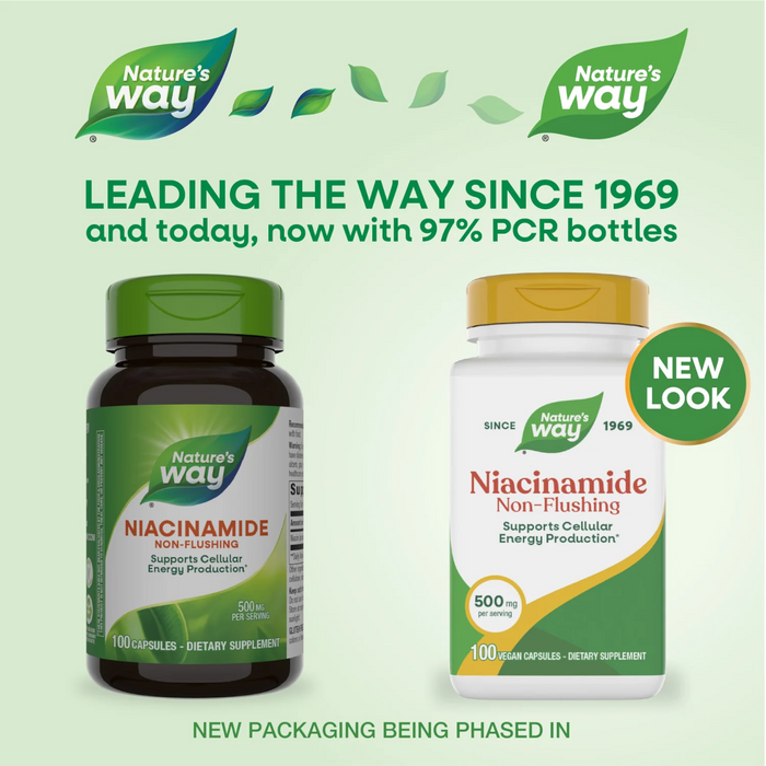 Nature's Way Niacinamide 500 mg - 100 Capsules