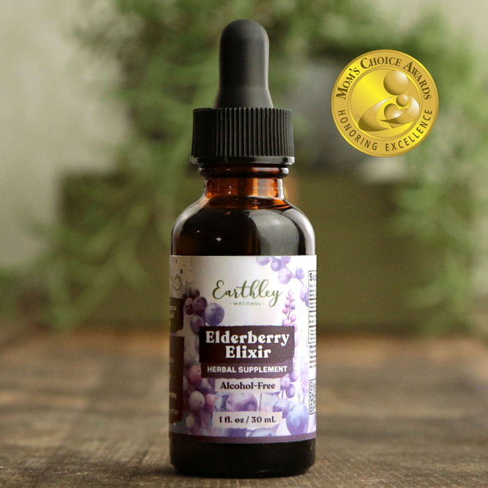 Earthley Elderberry Alcohol Free Elixir - 1 oz.