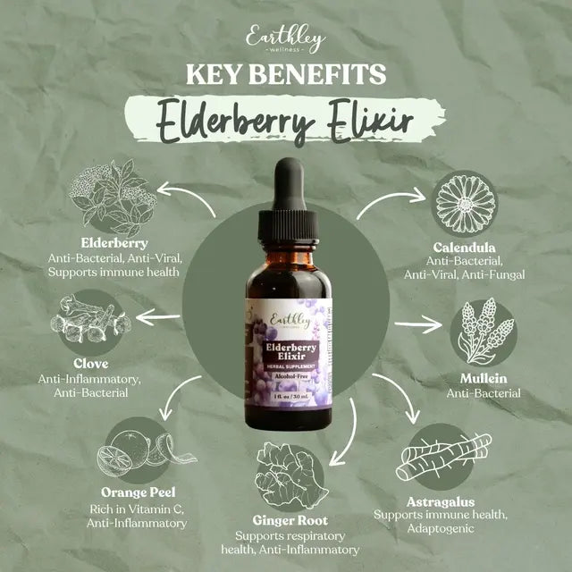 Earthley Elderberry Alcohol Free Elixir - 1 oz.