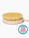 Yerba Prima Dry Brush PATIENT ONLY - Health As It Ought to Be