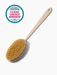 Yerba Prima Dry Brush PATIENT ONLY - Health As It Ought to Be