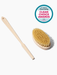 Yerba Prima Dry Brush PATIENT ONLY - Health As It Ought to Be
