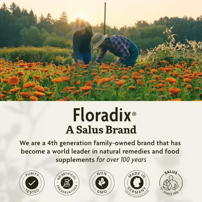 Flora Floradix Iron + Herbs - 8.5 oz.