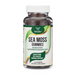 Double Wood Supplements Irish Sea Moss Gummies - 60 Gummies - Health As It Ought to Be