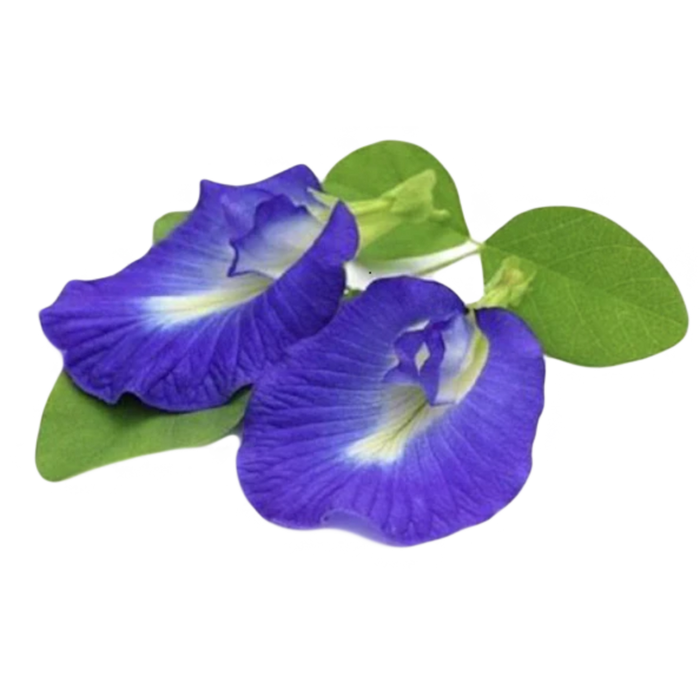 Ayush Herbs Carditone - 60 Caplets (may contain shellfish)