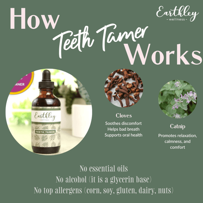 Earthley Teeth Tamer - 1 fl oz.