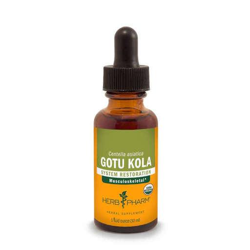 Herb Pharm Gotu Kola Liquid - 1 fl oz. - Health As It Ought to Be