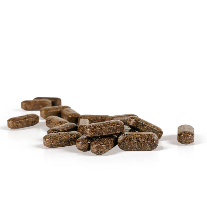 Ayush Herbs Carditone - 60 Caplets (may contain shellfish)