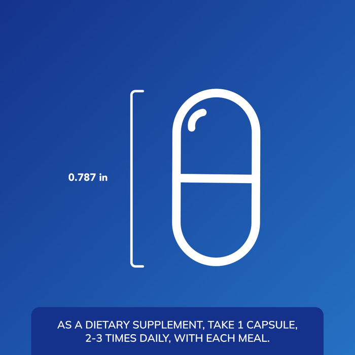 Pure Encapsulations DAO Enzyme - 60 Capsules