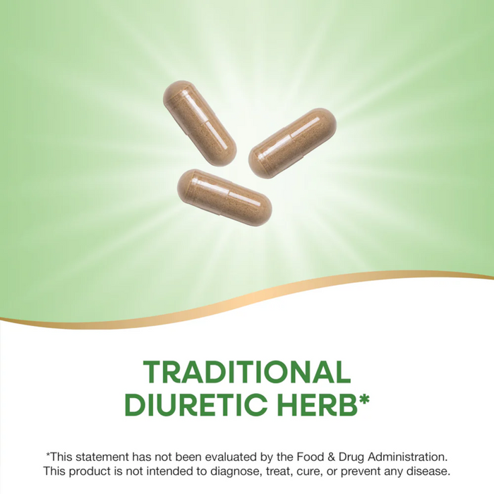 Nature's Way Dandelion Root 525 mg - 100 Capsules - Health As It Ought to Be