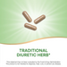 Nature's Way Dandelion Root 525 mg - 100 Capsules - Health As It Ought to Be