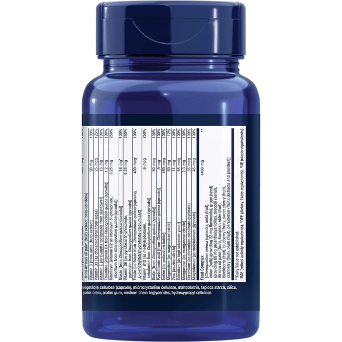 Life Extension Plant-Based Multivitamin - 90 Vegetarian Capsules - Health As It Ought to Be