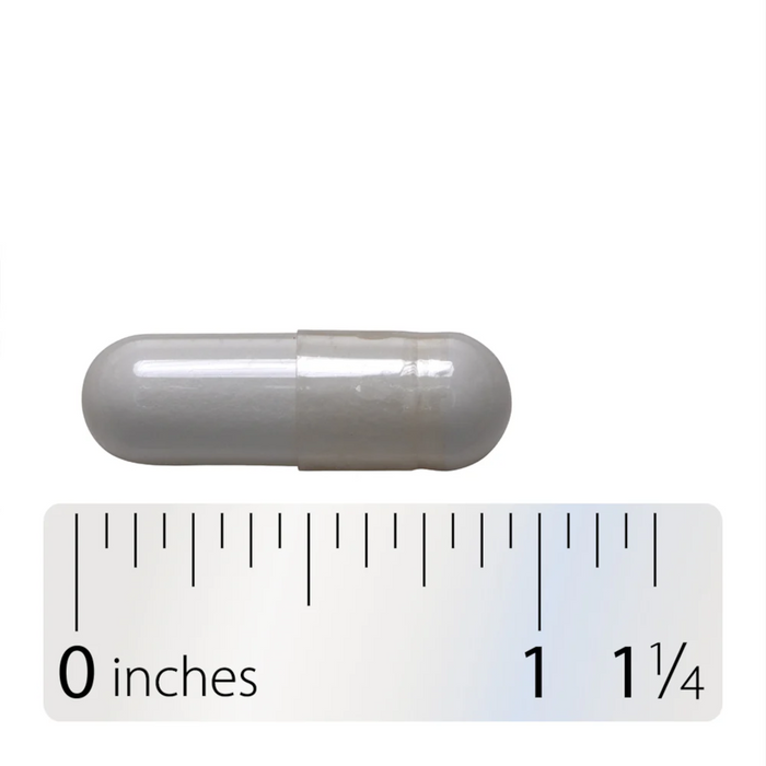 Nature's Way Niacinamide 500 mg - 100 Capsules - Health As It Ought to Be
