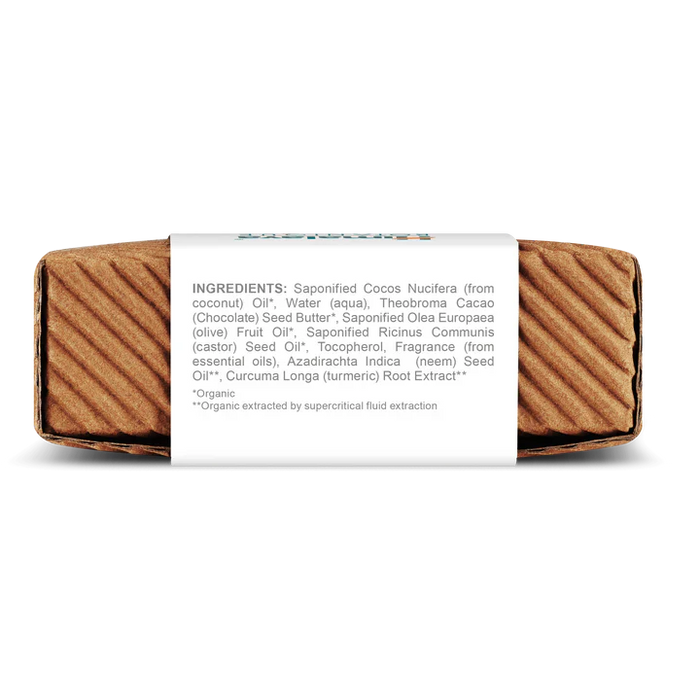 Himalaya Herbal Healthcare Neem and Turmeric Purifying Cleansing Bar - 4.41 oz - Health As It Ought to Be